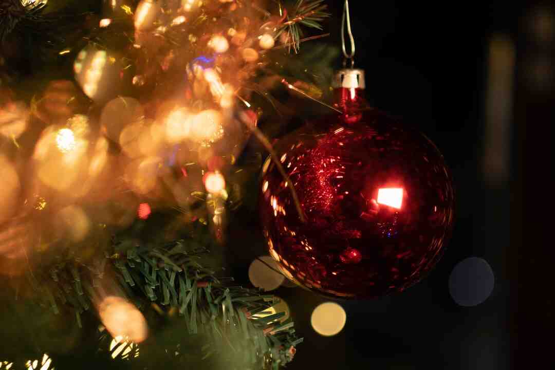 Quelle menu pour Noël ?