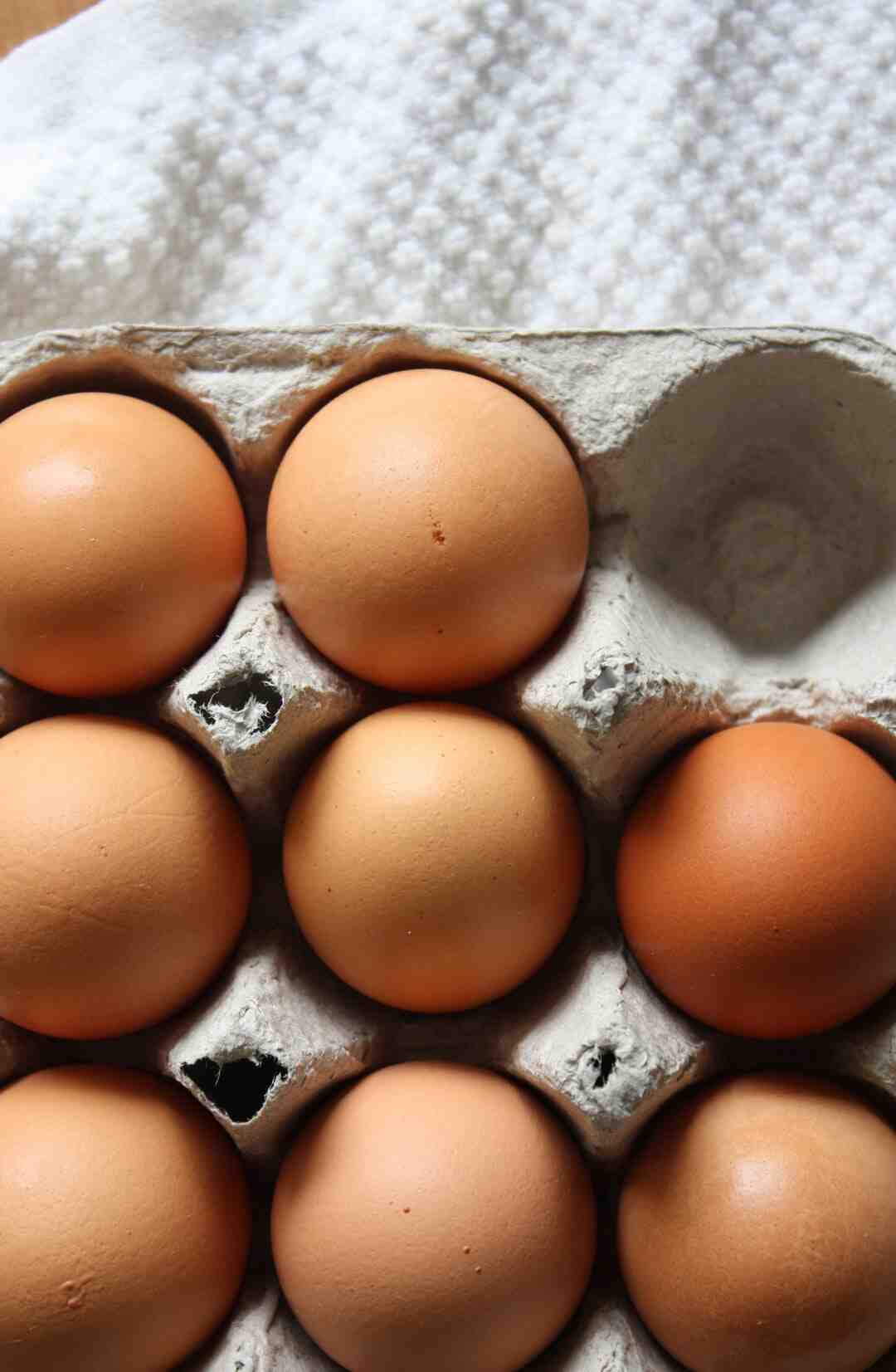 Comment bien se nourrir sans viande ?