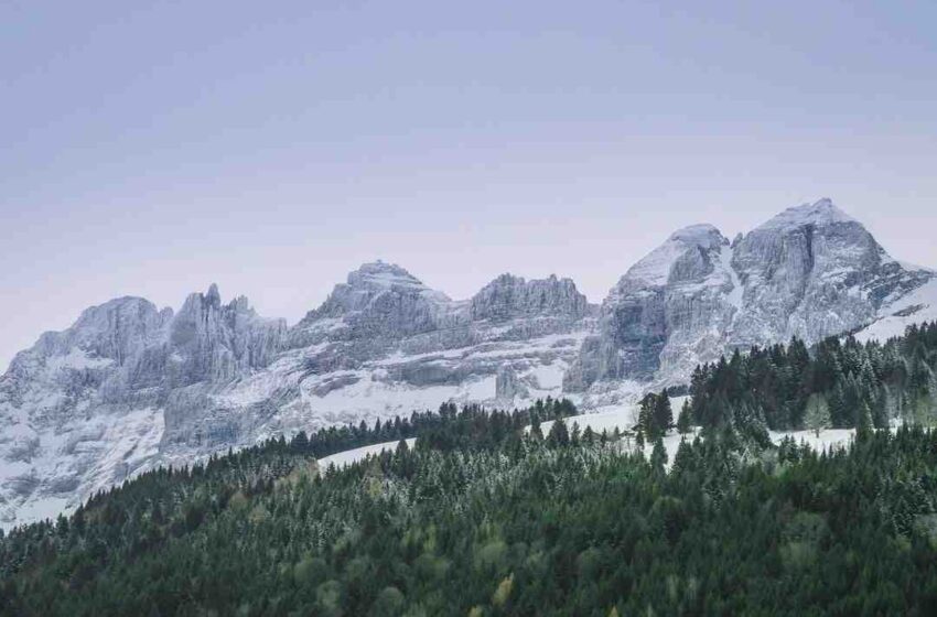 Idées recettes midi