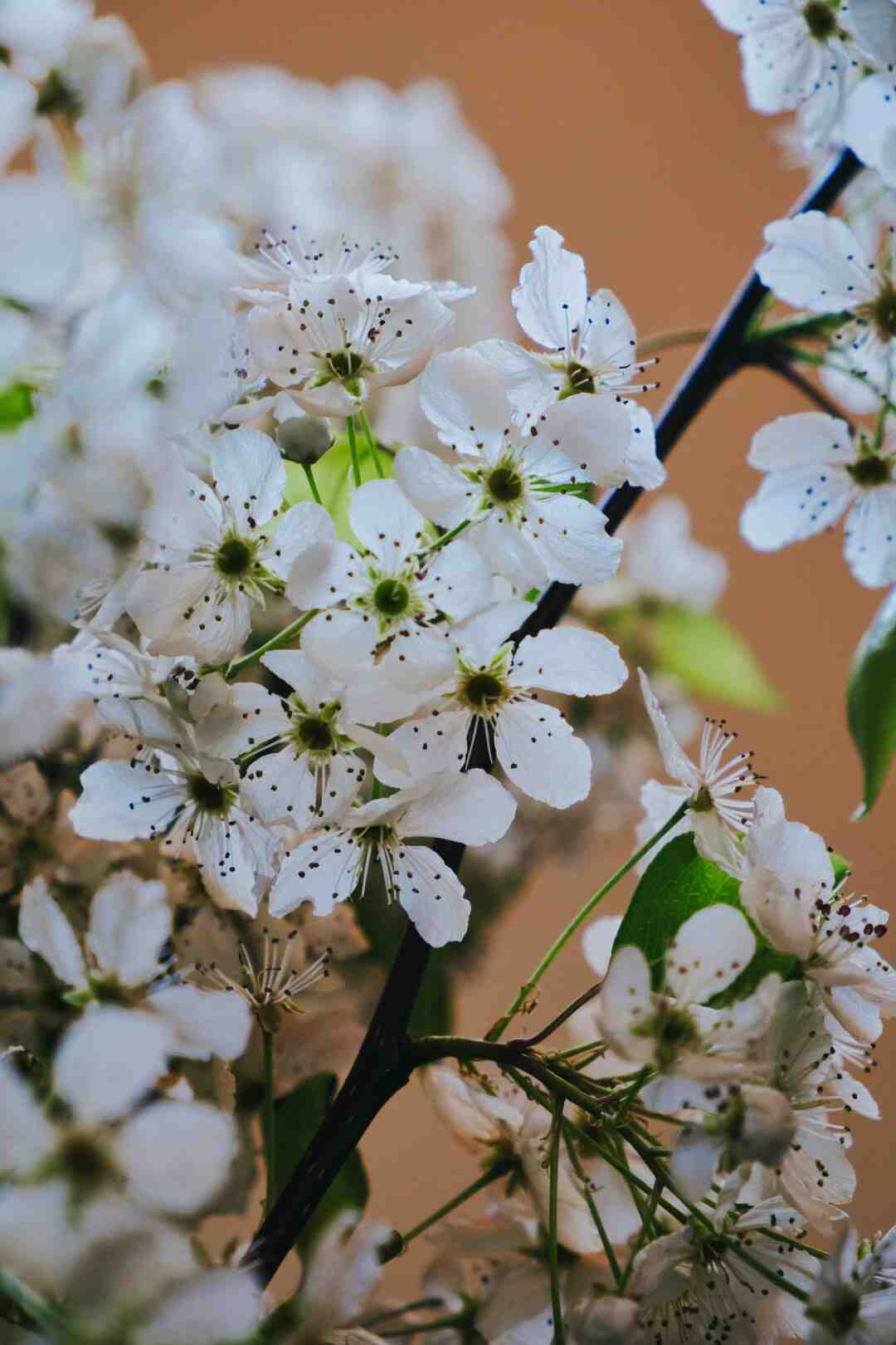 Quel aliment Peut-on manger froid ?