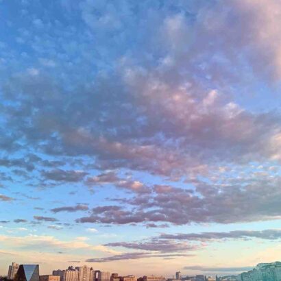 Idee plat facile et sain