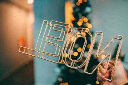 Thumbnail for Idees de recettes pour noel