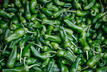 Thumbnail for Idees recettes faciles legumes