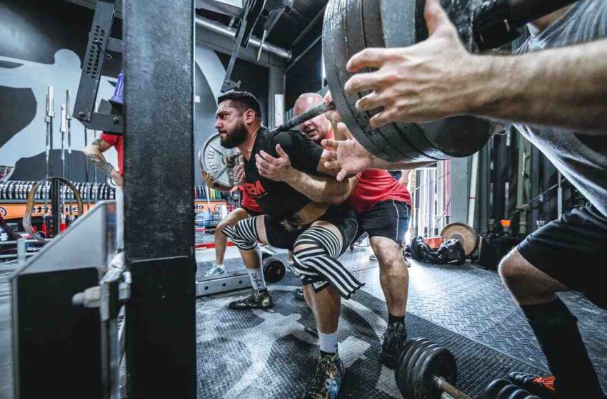 Idées recettes wraps