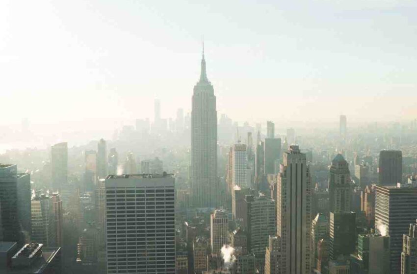 Yoni saada gagnant top chef