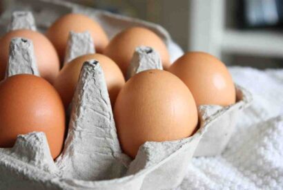 Thumbnail for Idée recette facile 750g