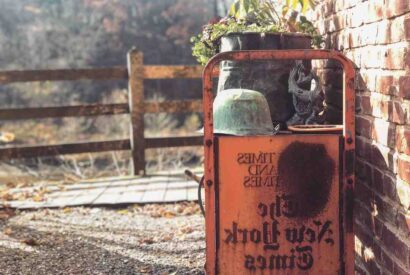 Thumbnail for Idees recettes bebe 9 mois