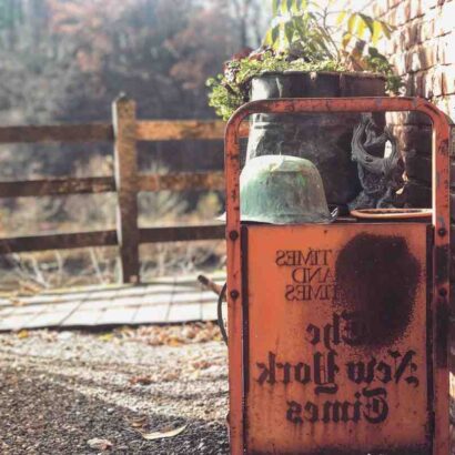 Idees recettes bebe 9 mois