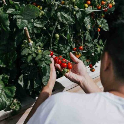 Gagnant top chef jean imbert