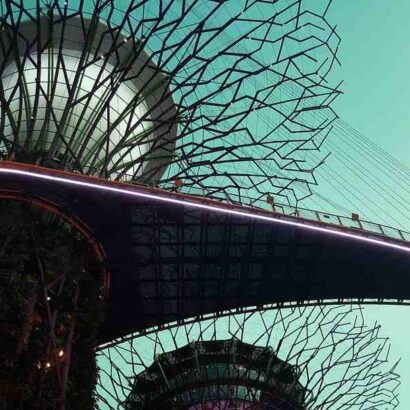 Idées de recettes pour l'été