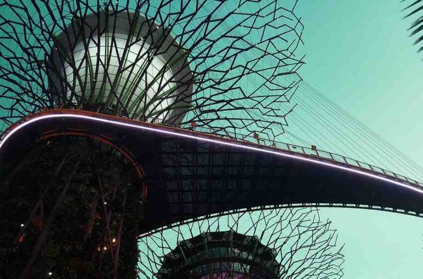 Idées de recettes pour l'été