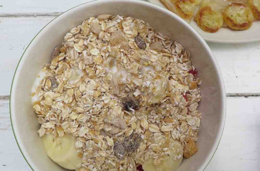 Idees recettes sans fibres