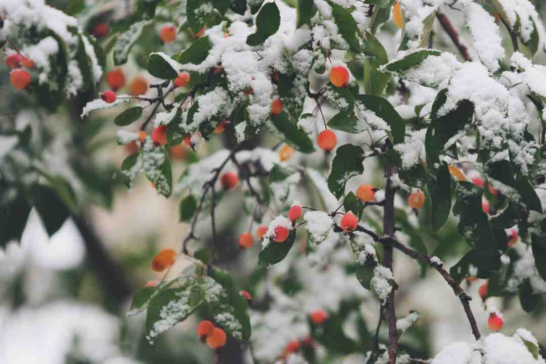 Est-il bon de manger tard le soir ?
