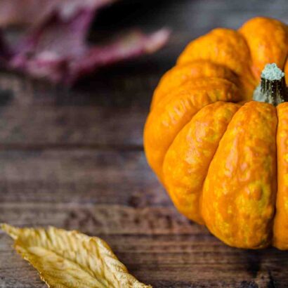 Gagnant objectif top chef saison 6