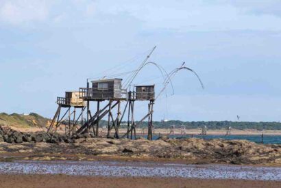 Thumbnail for Gagnant top chef tatoué