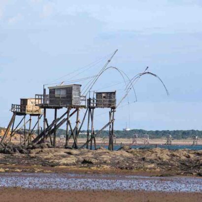 Gagnant top chef tatoué