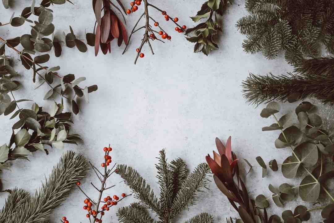 Pourquoi ne pas manger de viande le 24 décembre ?