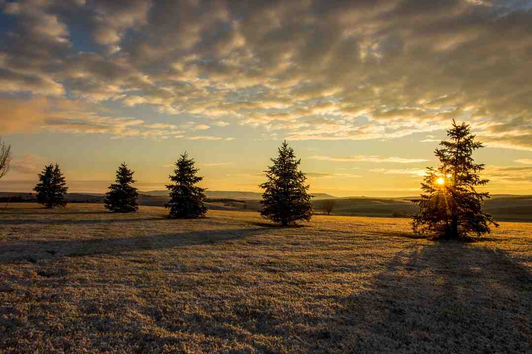 Qui a gagne le Meilleur Pâtissier 2021 ?