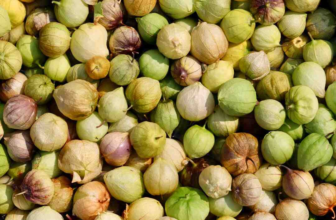 Quelle est la différence entre un couscous et un couscous royal ?