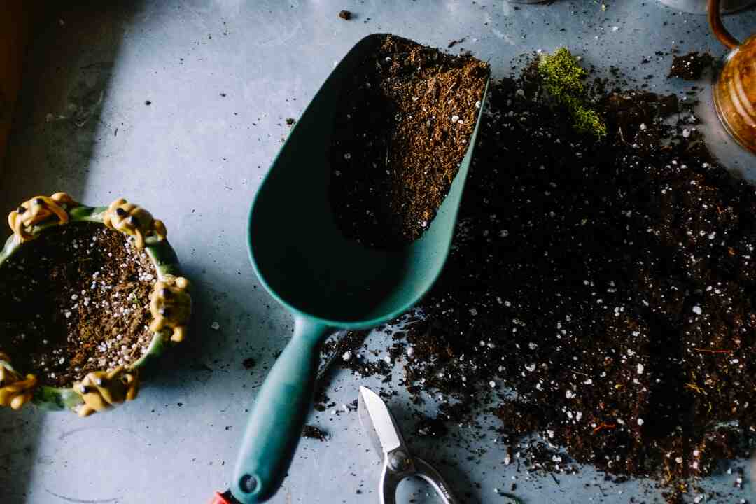 Comment organiser une fête champêtre ?