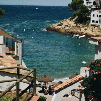 Idées recettes thon en boite