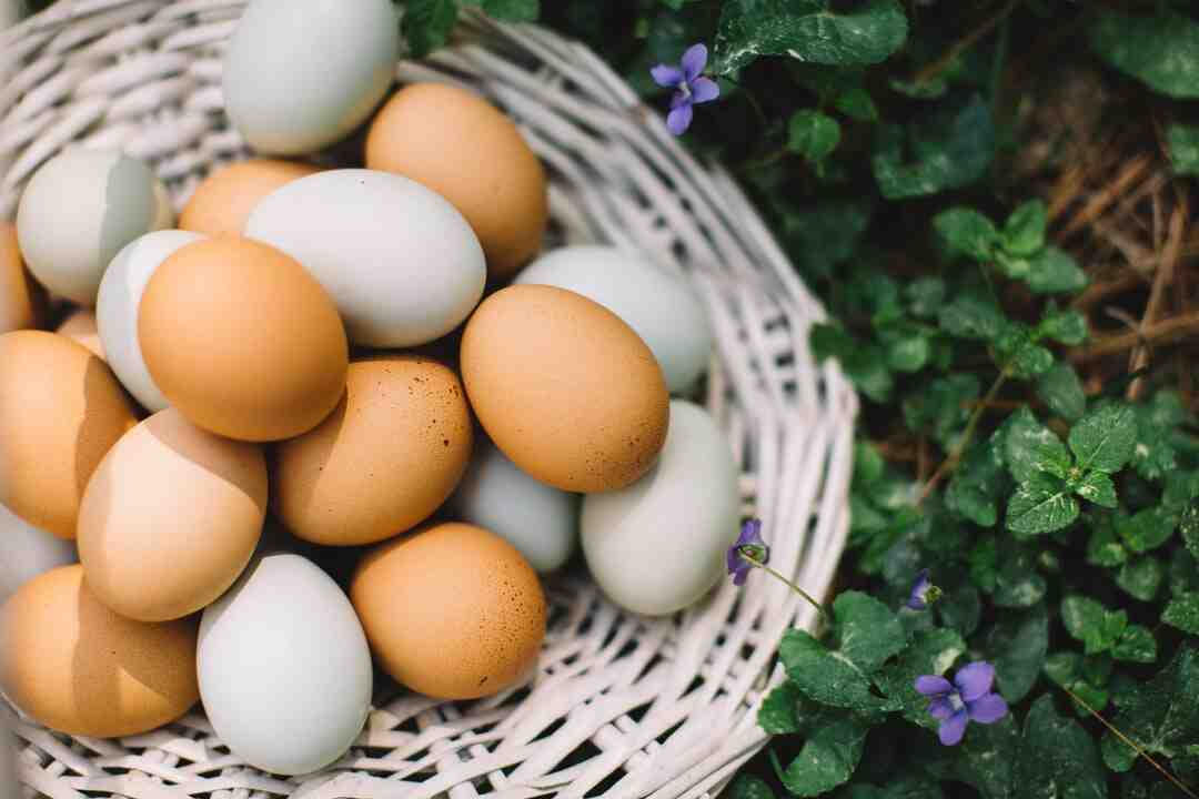 Quelle quantité d'œuf par semaine ?