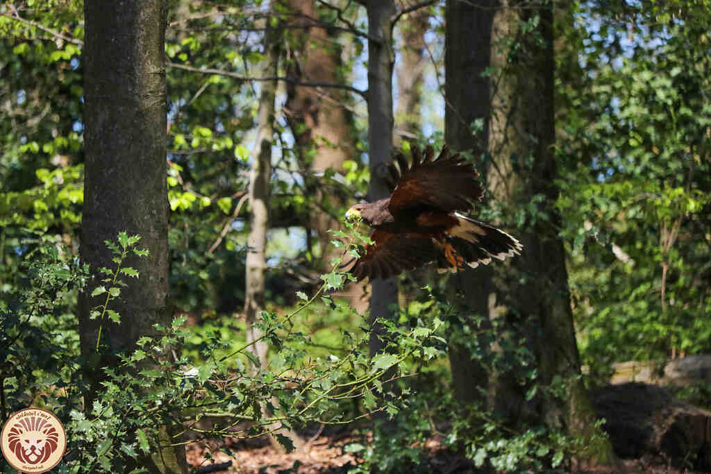 Est-ce que le lapin de Pâques existe vraiment ?