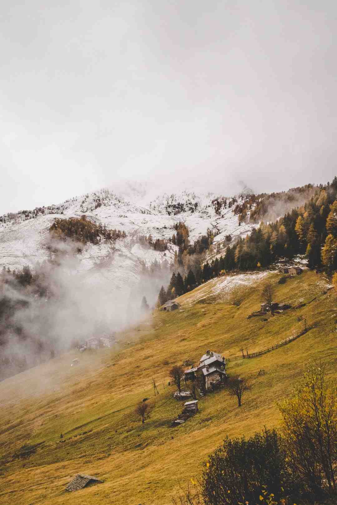 Comment engraisser un canard sans gavage ?