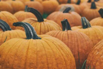 Thumbnail for Menu semaine automne