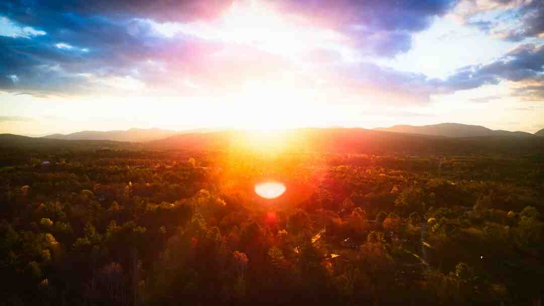Quelle est la meilleure friteuse électrique sans huile ?
