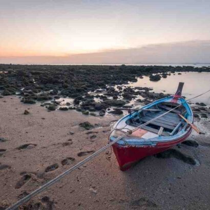 Qui est le gagnant de Koh-lanta 2021 ?