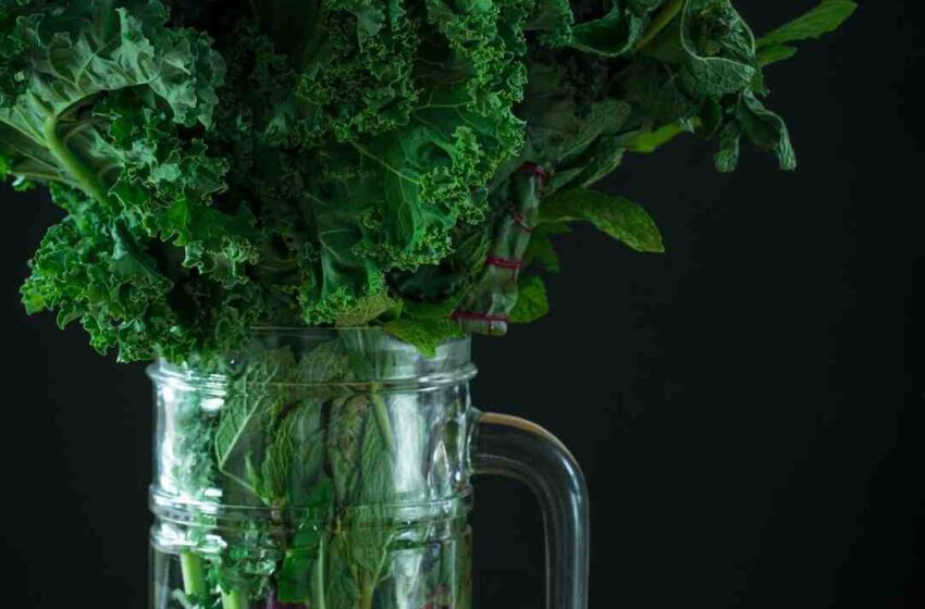 Comment faire du jus sans mixeur ?