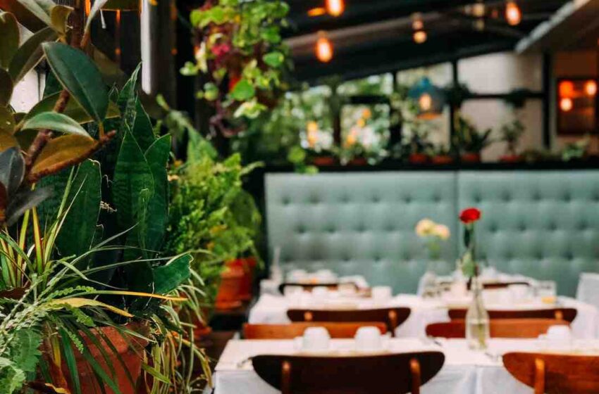 Comment manger léger au restaurant ?