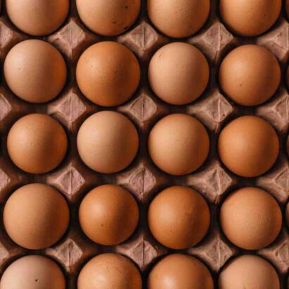 Est-ce que les végétariens mangent des œufs ?