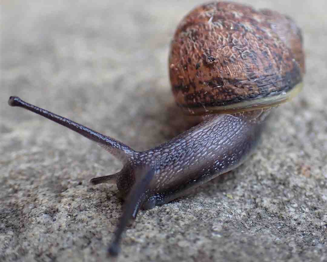 Pourquoi bien mâcher fait maigrir ?