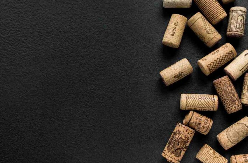 Pourquoi bouchon de liège ?