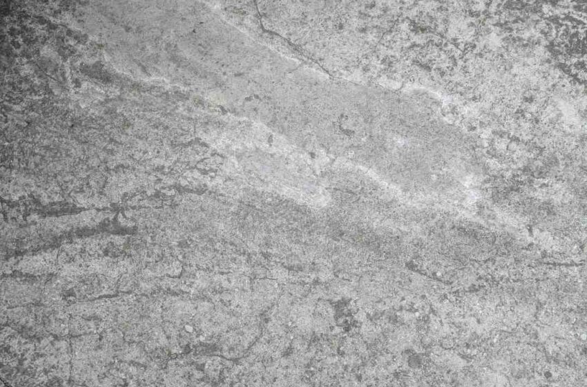 Quel foie gras acheter en grande surface 2021 ?