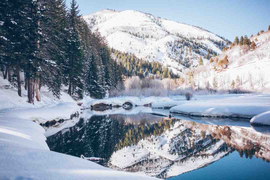 Quel plat manger le soir ?