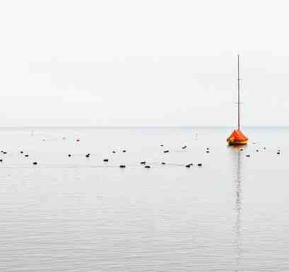 Quel vin blanc avec magret de canard au miel ?