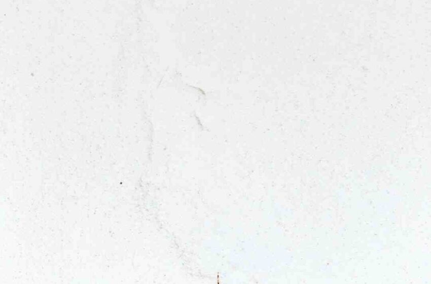 Quel vin blanc pour un magret de canard ?