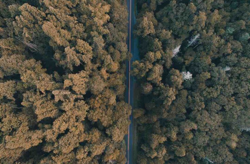 Quelle TVA pour un droit de bouchon ?