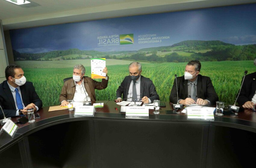 Quelles sont les bovins ?