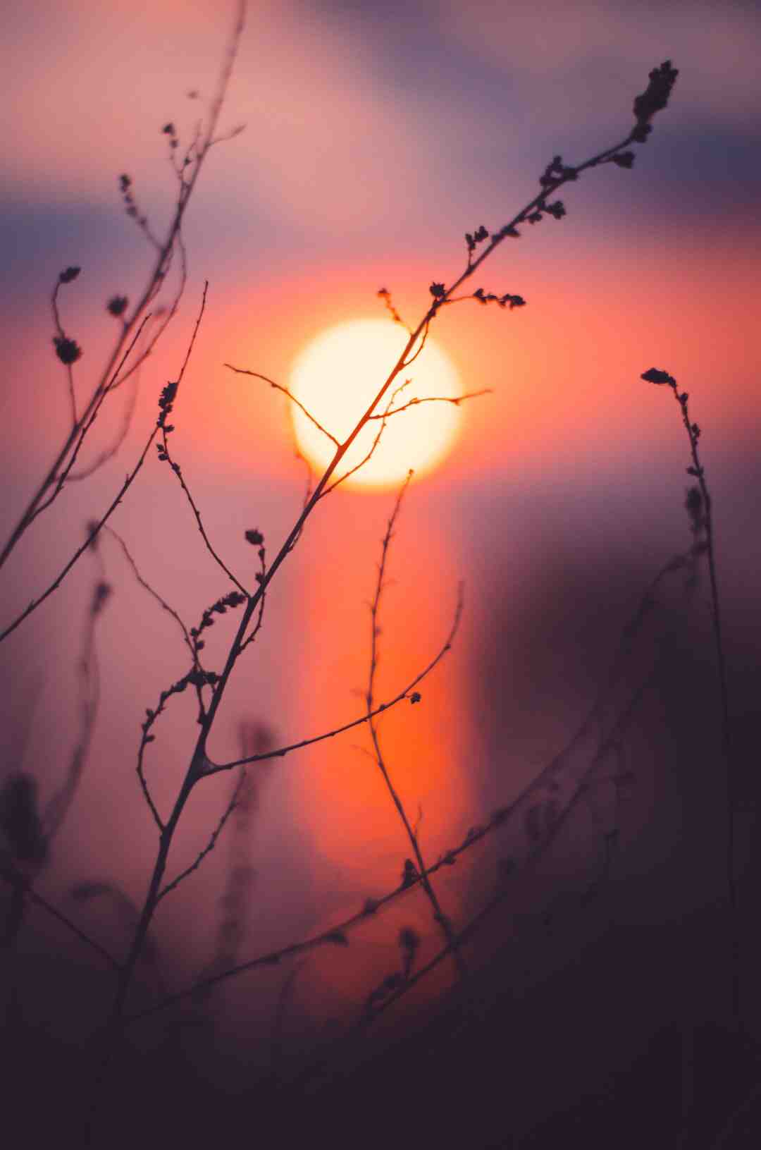 Quels légumes éviter le soir ?