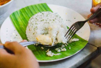 Thumbnail for Quels sont les menus végétariens ?