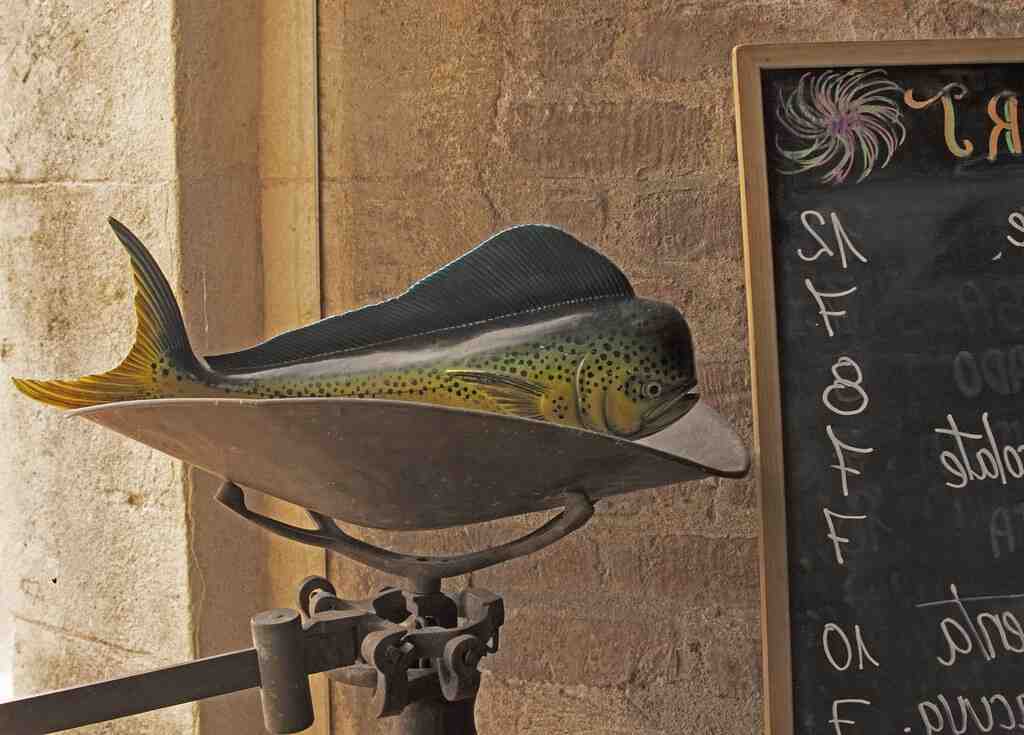C'est quoi le filet de canette ?