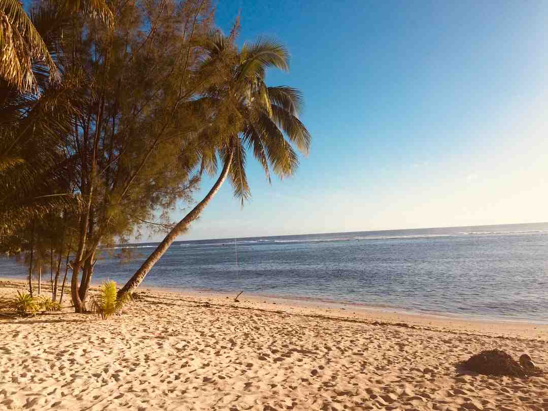 C'est quoi un bon cuisinier ?