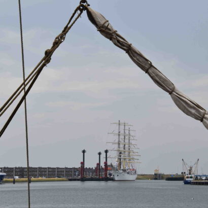 Comment s'organiser dans la cuisine ?