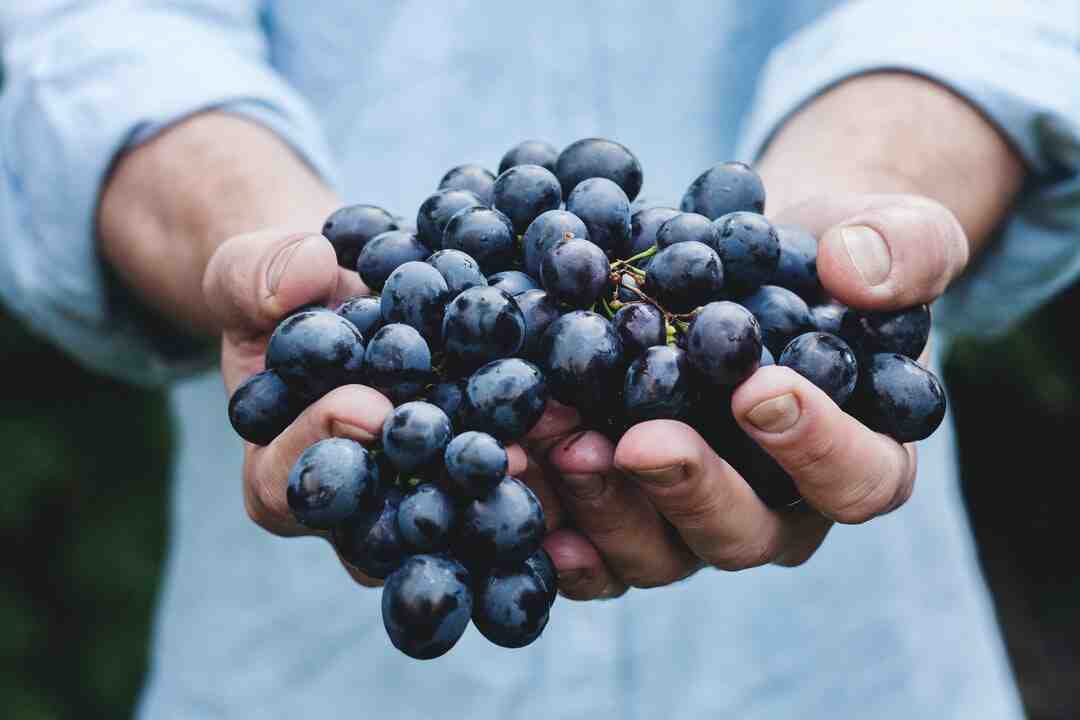 Comment sublimer le foie gras ?