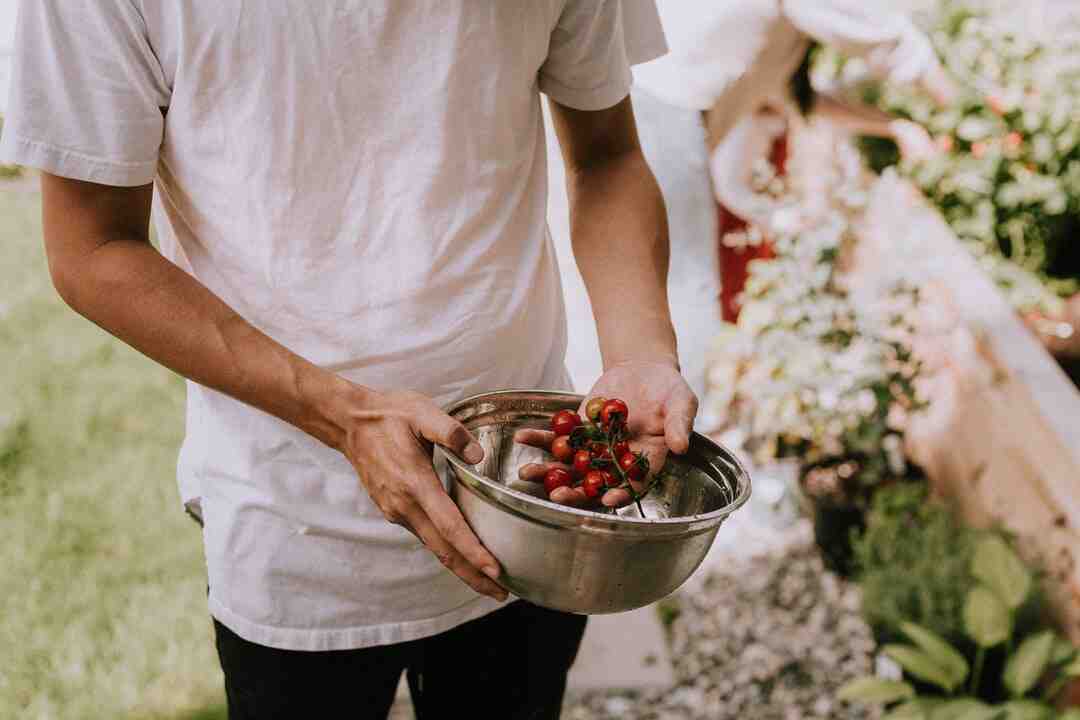 Est-ce que les clients paient dans Cauchemar en cuisine ?