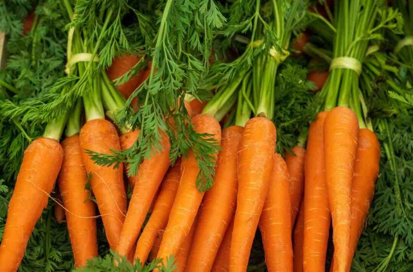 Est-il bon de boire du jus de carotte ?